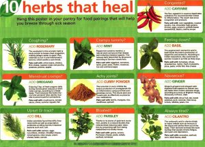 10Healing_Herbs_0